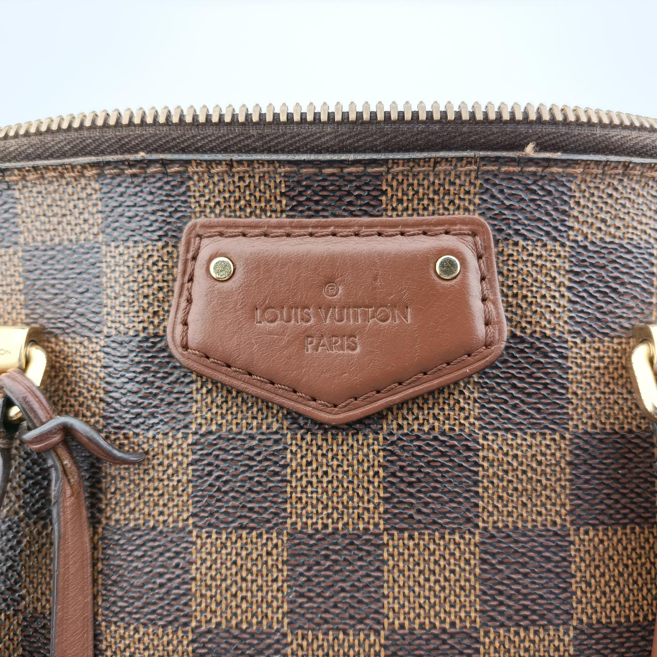 BELMONTEBENEDamier CanvasN63169DR2194ベルモントエベーヌダミエキャンバスN63169DR2194