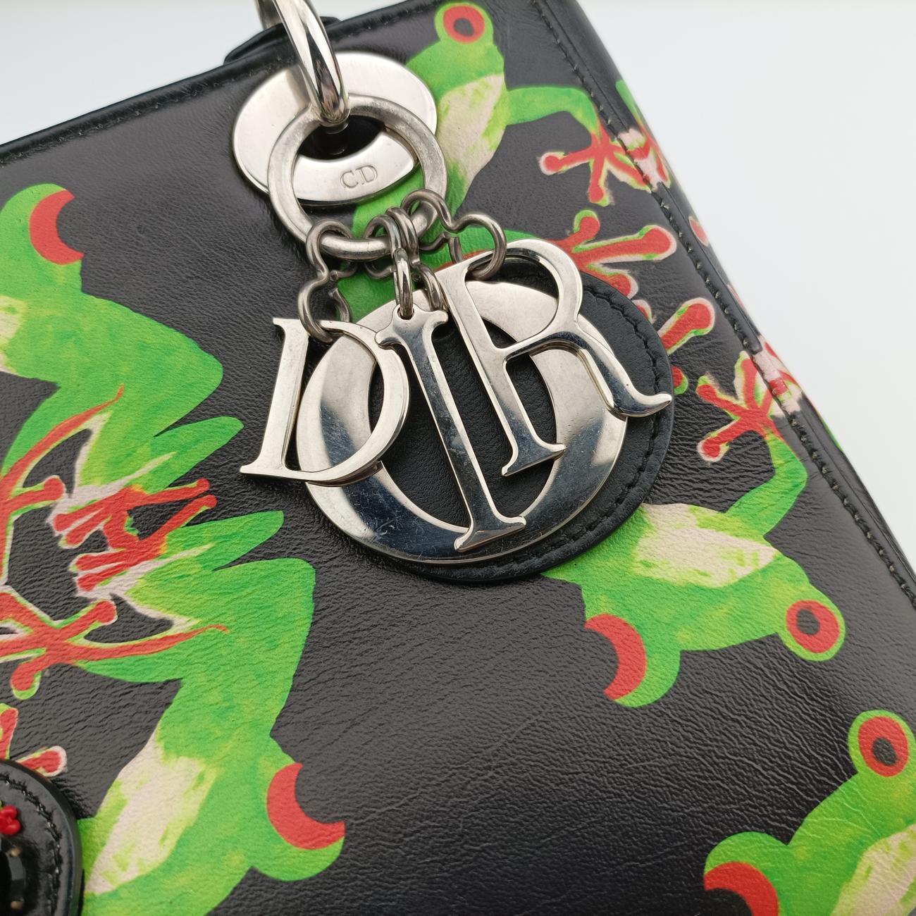 Lady Dior ArtBlack×MulticolourLeather29-MA-1116レディ ディオール アートブラック×マルチカラーレザー29-MA-1116