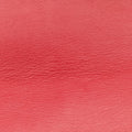 GG MarmontRedLeather443496A020031844GGマーモントレッドレザー443496A020031844
