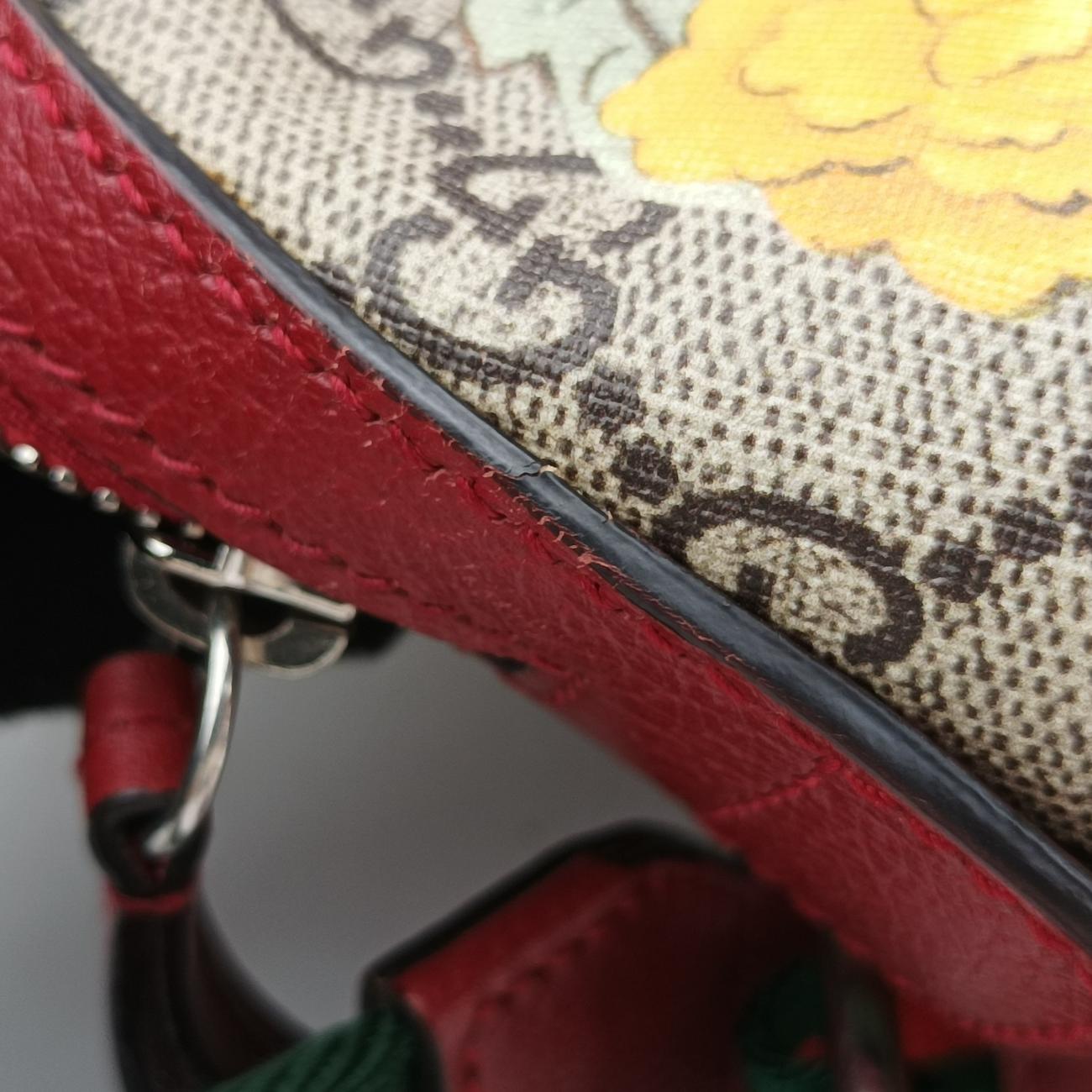 GG Supreme TianMulticolourPVC coated canvas427042D021368742GGスプリームティアンマルチカラーPVCコーティングキャンバス427042D021368742