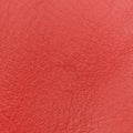 Luggage Mini ShopperOrangeLeatherS-AT-1111 S-UP-1111ラゲージミニショッパーオレンジレザーS-AT-1111 S-UP-1111