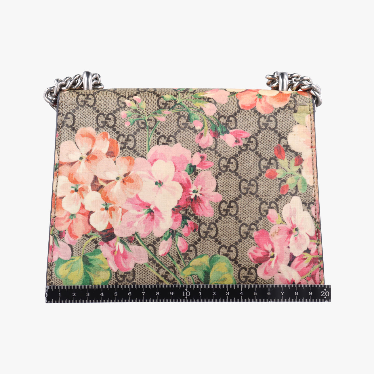 DionysusMulticolourPVC coated canvas421970E019806400ディオニュソスマルチカラーPVCコーティングキャンバス421970E019806400
