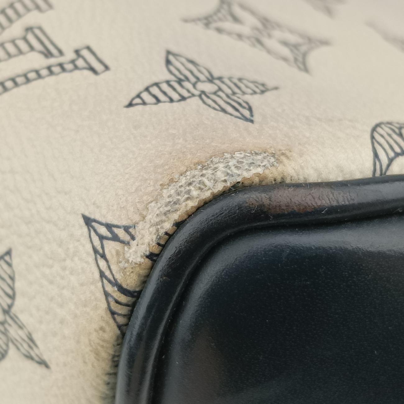 Savannah SteamerdunneMonogram Savannah CanvasM54125TR0197サバンナ　スティーマーデュンヌモノグラム サバンナキャンバスM54125TR0197