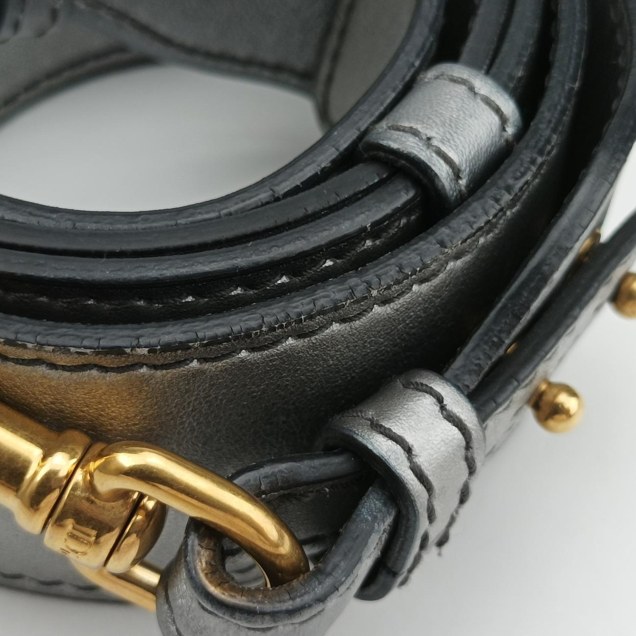 DiorevolutionSilverLeather19-MA-0147ディオール エボリューション フラップシルバーレザー19-MA-0147