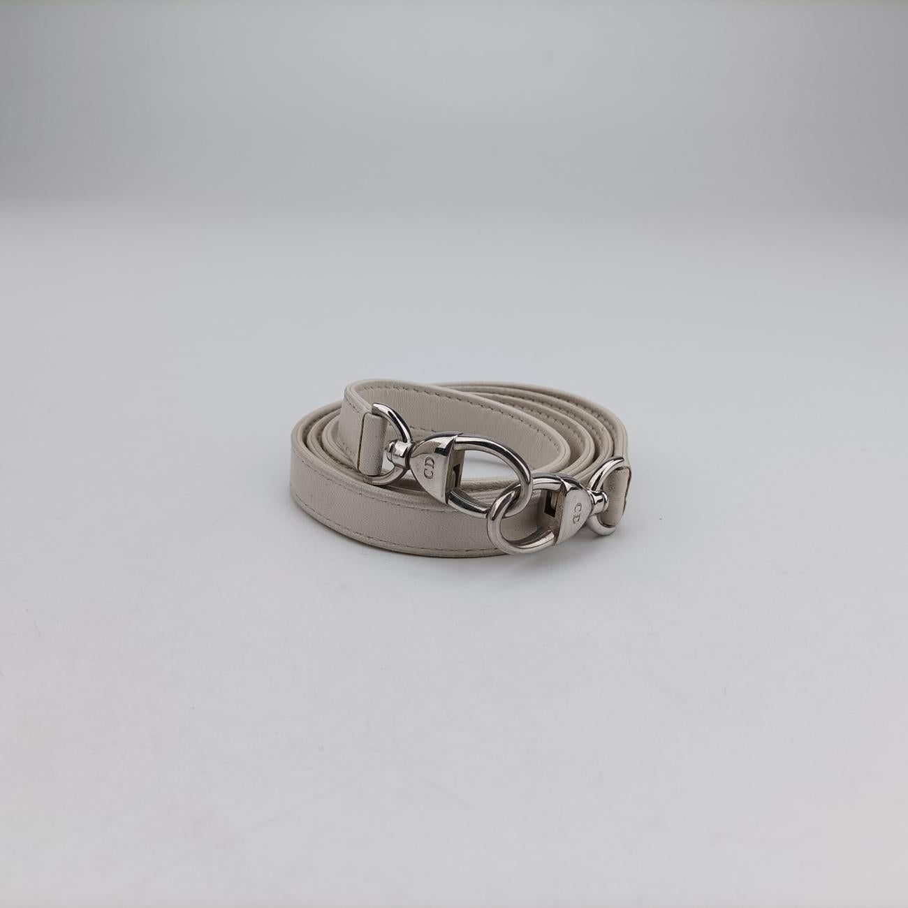 Lady DiorMulticolourLeather18-MA-0115レディディオールマルチカラーレザー18-MA-0115