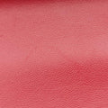 SUNSETRedvelour441972PLB441972.0318サンセットレッドベロア441972PLB441972.0318