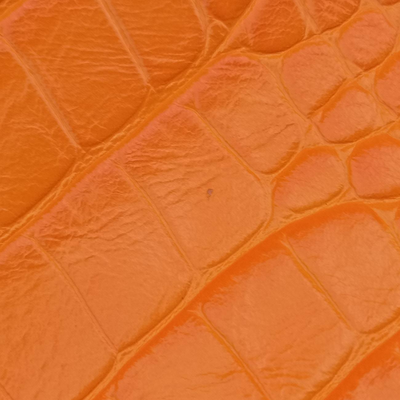 Le CagoleOrangelambskin671309.7512.O.535269ルカゴールオレンジラムスキン671309.7512.O.535269