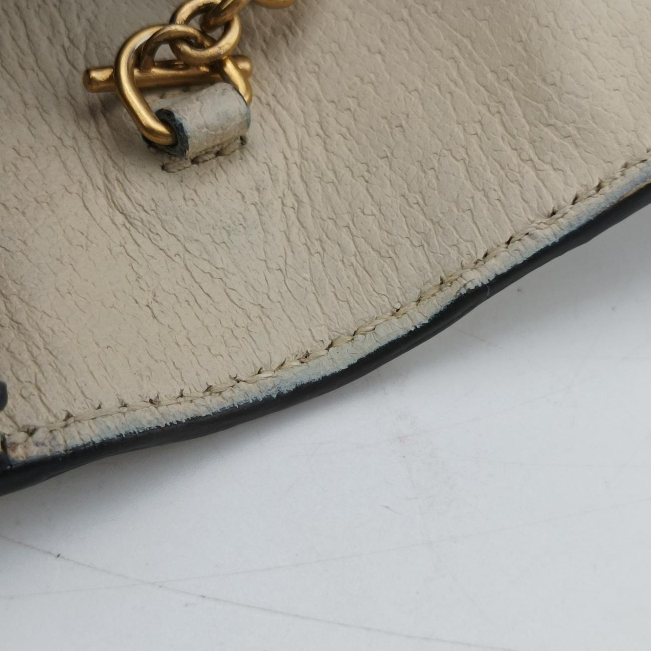 Queen MargaretMulticolourPVC coated canvas×Leather476079クィーンマーガレットマルチカラーPVCコーティングキャンバス×レザー476079