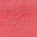 DionysusRed×WhiteLeather421970G020971645ディオニュソスレッド×ホワイトレザー421970G020971645