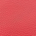 DiorissimoRedLeather08-MA-0153ディオリッシモレッドレザー08-MA-0153