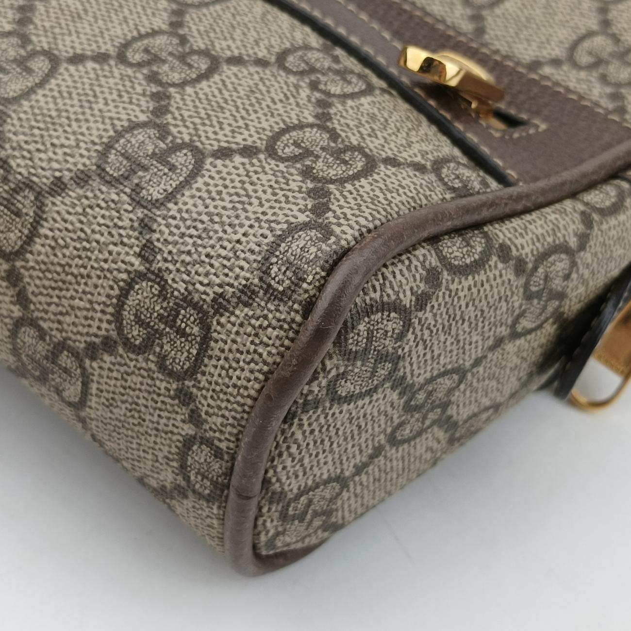 OphidiaBrownPVC coated canvas517076I024790509オフィディアブラウンPVCコーティングキャンバス517076I024790509