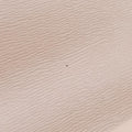 DionysusMulticolourLeather400249E019736487ディオニュソスマルチカラーレザー400249E019736487