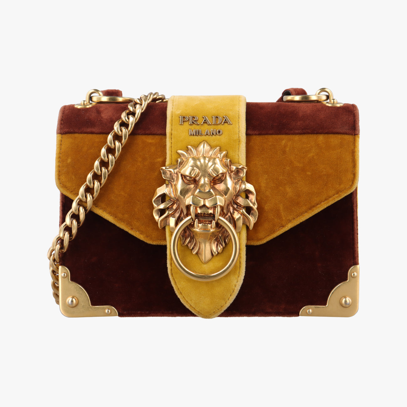 Animalier Cahier Lions HeadYellow×BrownVelvet1BD089110カイエ ライオンヘッドイエロー×ブラウン系ベロア1BD089110