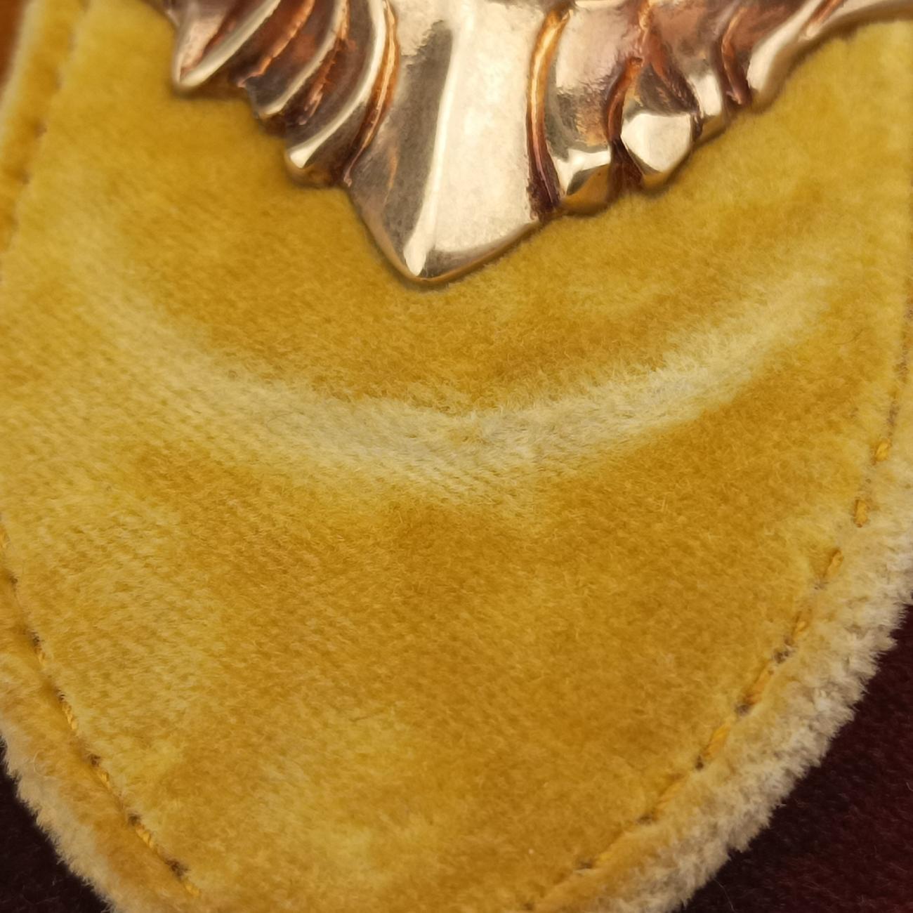 Animalier Cahier Lions HeadYellow×BrownVelvet1BD089110カイエ ライオンヘッドイエロー×ブラウン系ベロア1BD089110