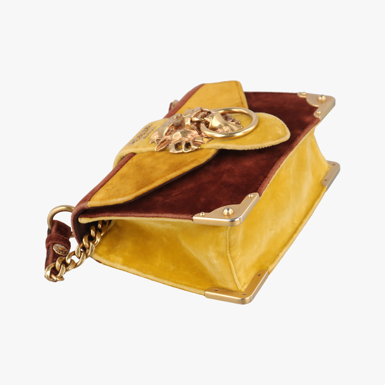 Animalier Cahier Lions HeadYellow×BrownVelvet1BD089110カイエ ライオンヘッドイエロー×ブラウン系ベロア1BD089110