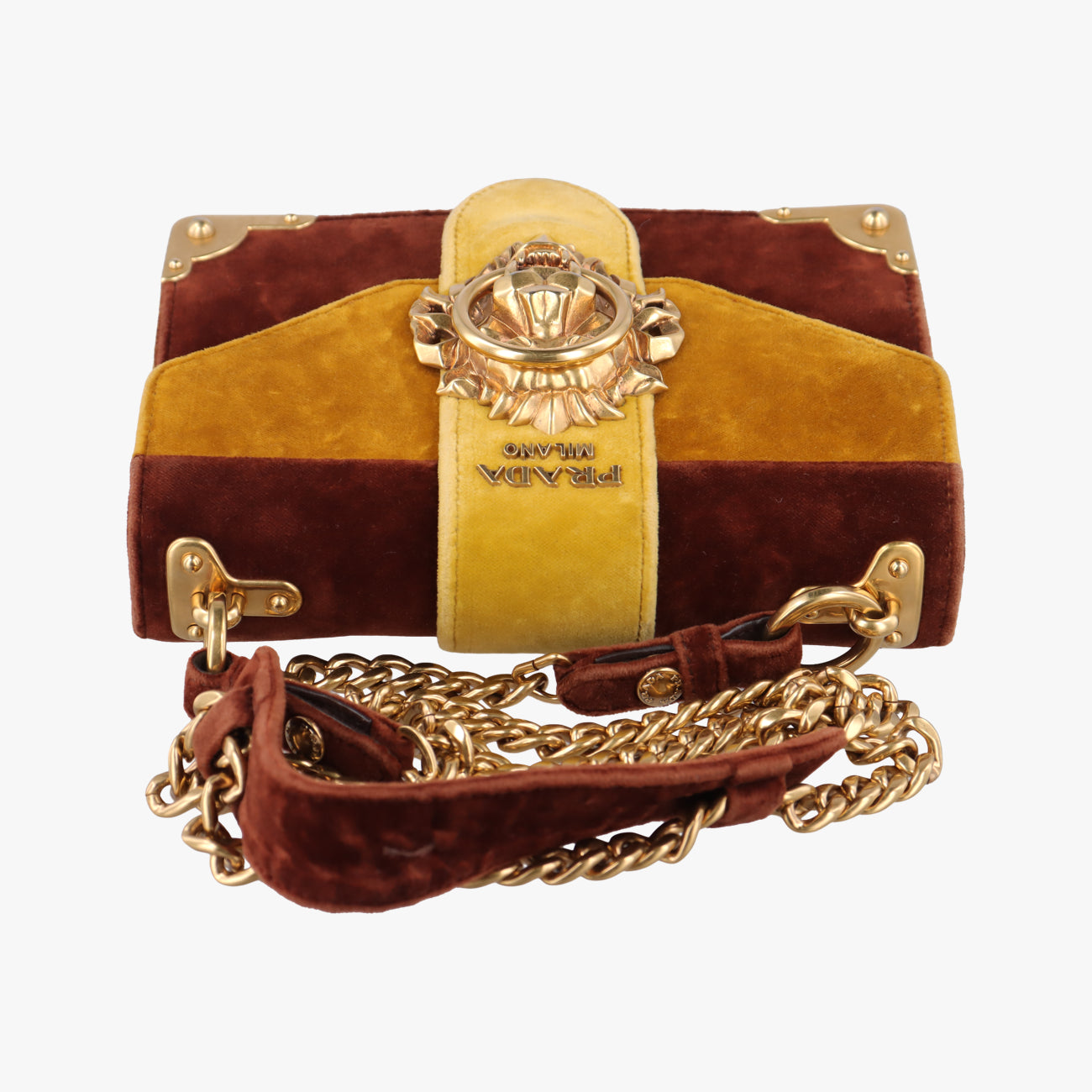 Animalier Cahier Lions HeadYellow×BrownVelvet1BD089110カイエ ライオンヘッドイエロー×ブラウン系ベロア1BD089110