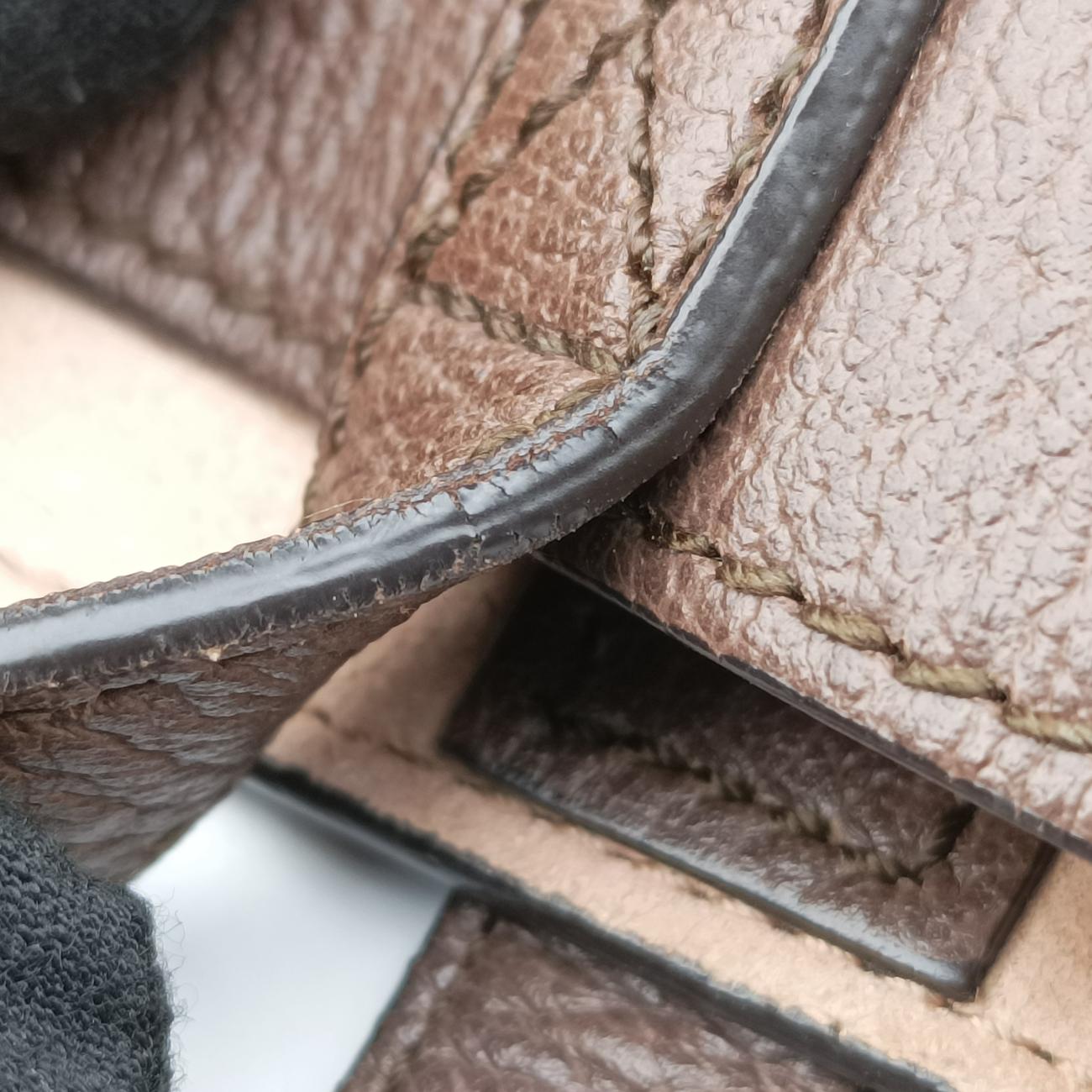 OphidiaBrownPVC coated canvas547947F030573551オフィディアブラウンPVCコーティングキャンバス547947F030573551