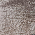 OphidiaBrownPVC coated canvas547947F030573551オフィディアブラウンPVCコーティングキャンバス547947F030573551
