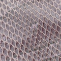 IntrecciatoPurpleLambskinB04321234JイントレチャートパープルラムスキンB04321234J