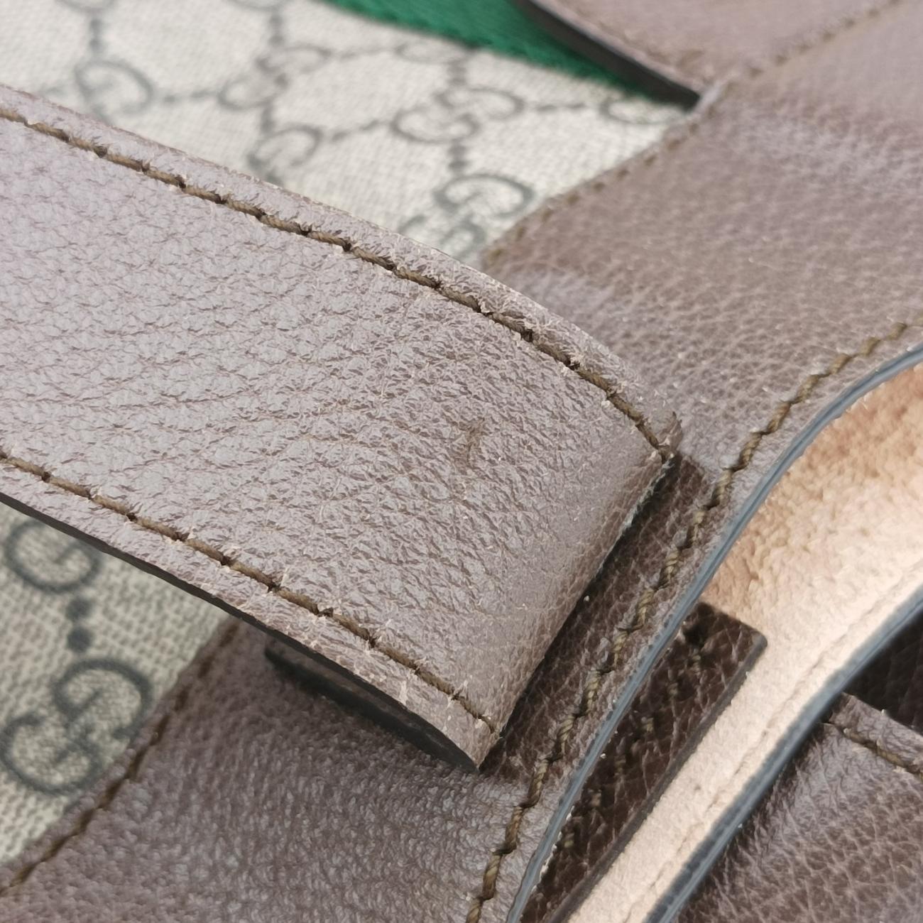 Ophidiabrown×red×greenPVC coated canvas x leather519335I024381385オフィディアブラウン×レッド×グリーンPVCコーティングキャンバス×レザー519335I024381385