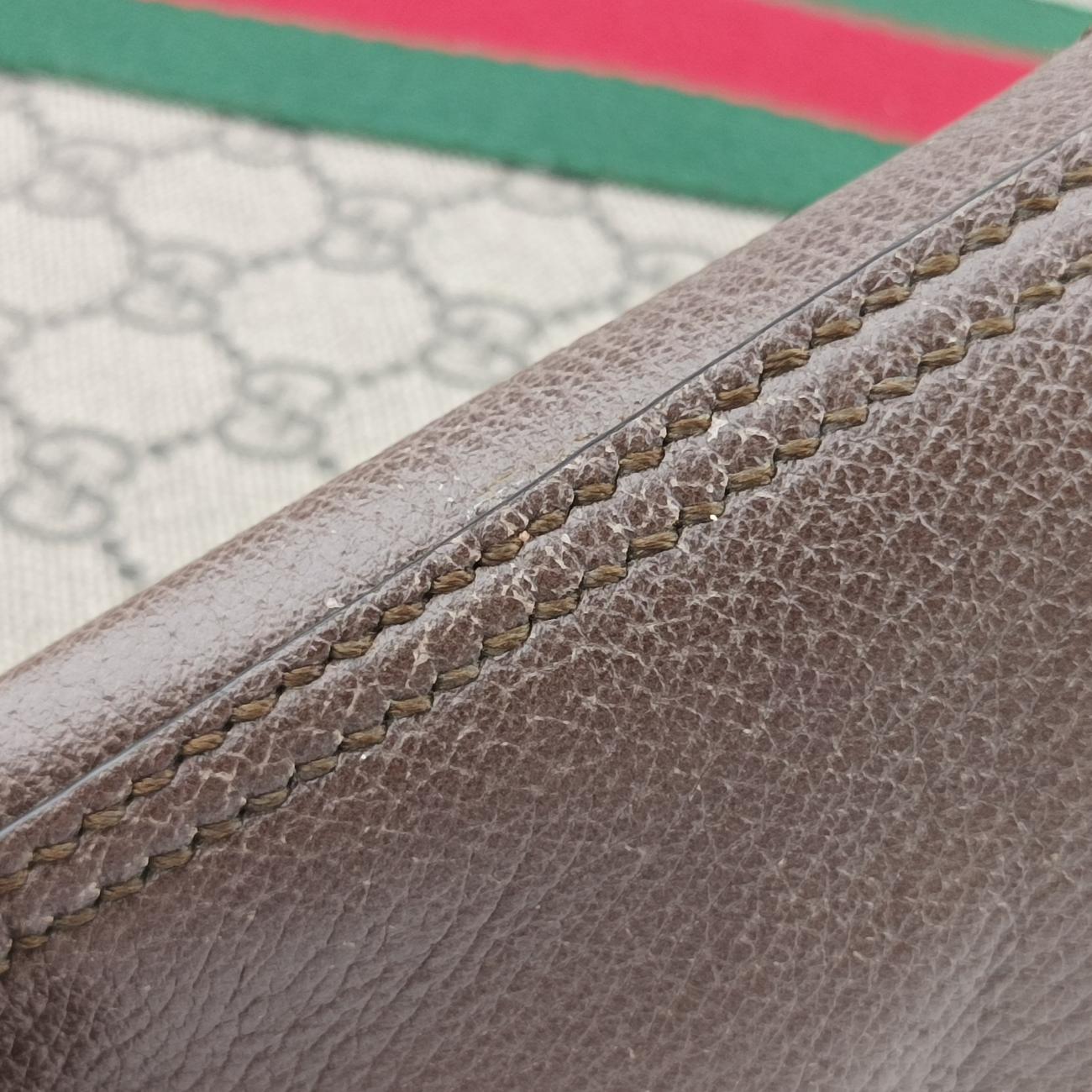 Ophidiabrown×red×greenPVC coated canvas x leather519335I024381385オフィディアブラウン×レッド×グリーンPVCコーティングキャンバス×レザー519335I024381385