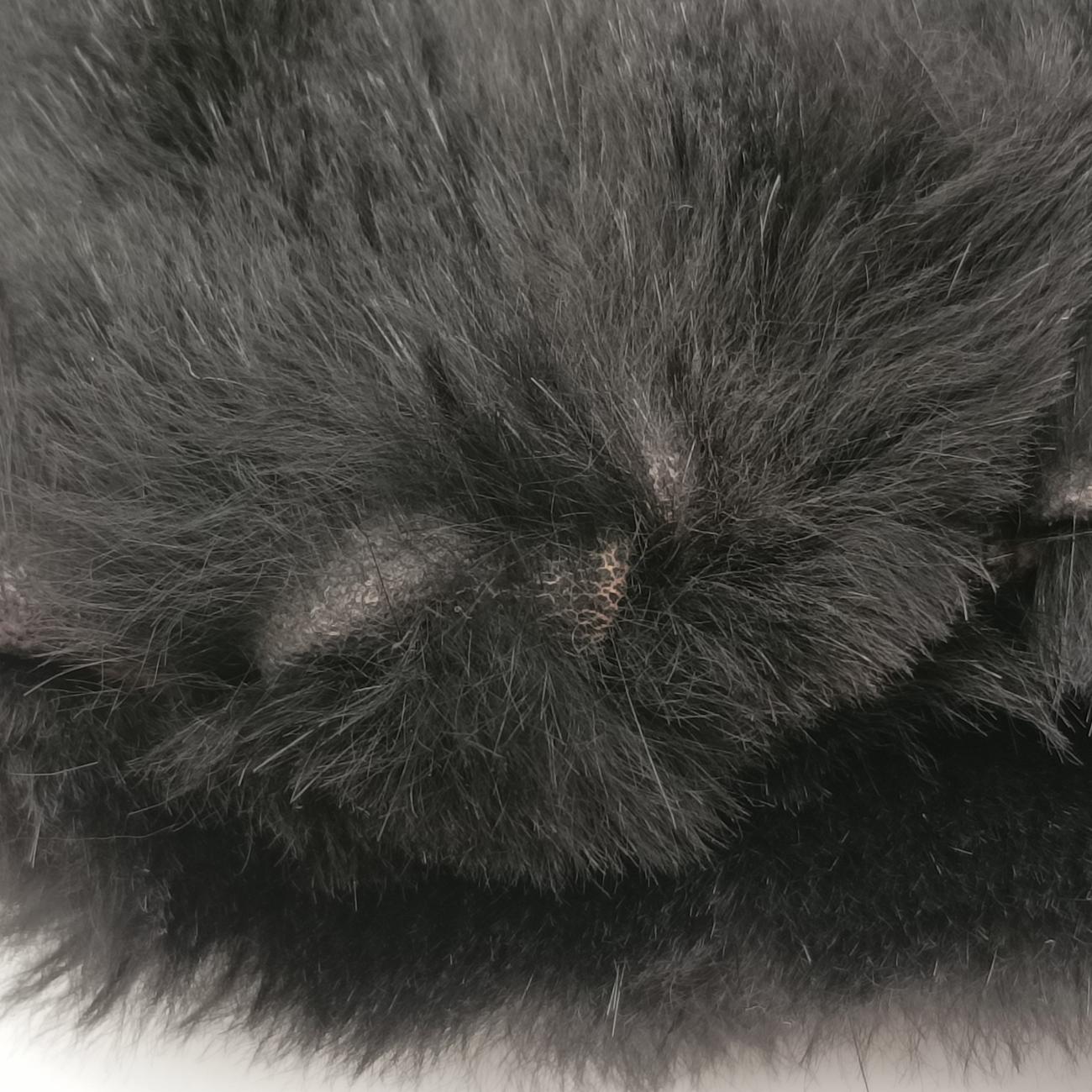 FF LogoBlackrabbit fur1578706-13 15787-991FFロゴブラックラビットファー1578706-13 15787-991