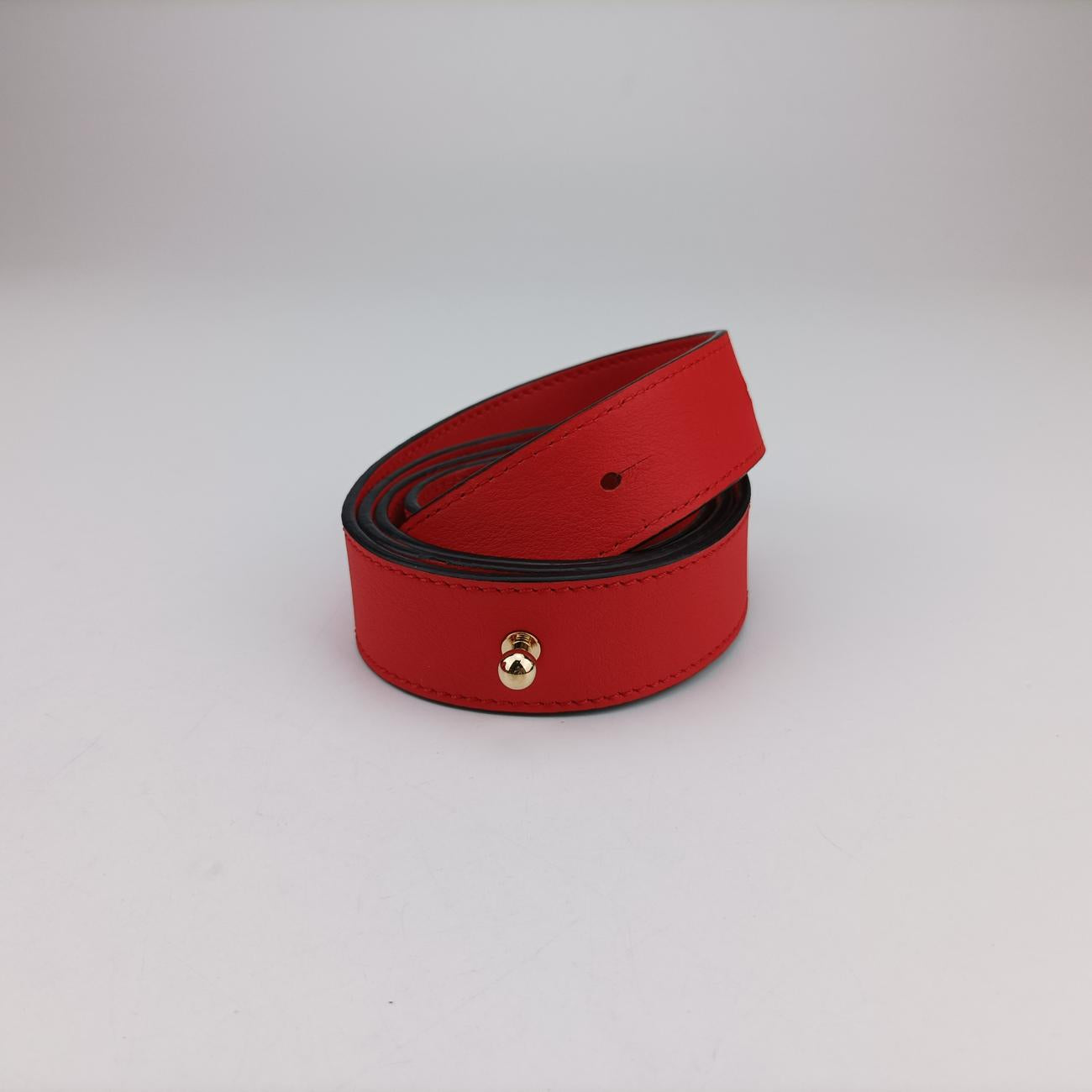 HammockRedLeather061609ハンモック ミディアムレッドレザー061609