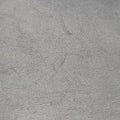 CASSANDRABlackLeather532750MAL532750.0618カサンドラブラックレザー532750MAL532750.0618