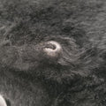 BaguetteBlackponyhair264242348 26424-099マンマバケットブラックハラコ264242348 26424-099