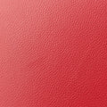 Lady DiorRedlambskin11-MA-1111レディディオールレッドラムスキン11-MA-1111