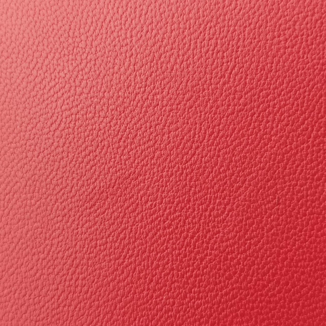Lady DiorRedlambskin11-MA-1111レディディオールレッドラムスキン11-MA-1111
