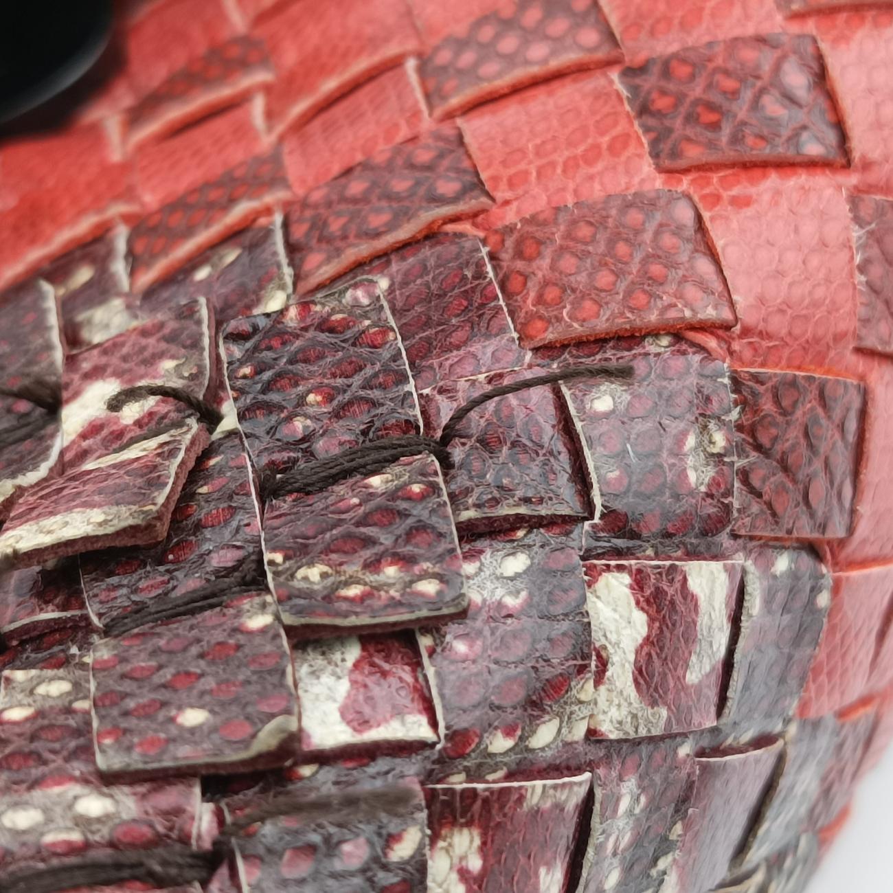Olimpia IntrecciatoMulticoloursnakeskinB07156511Zオリンピア イントレチャートマルチカラーヘビ革B07156511Z