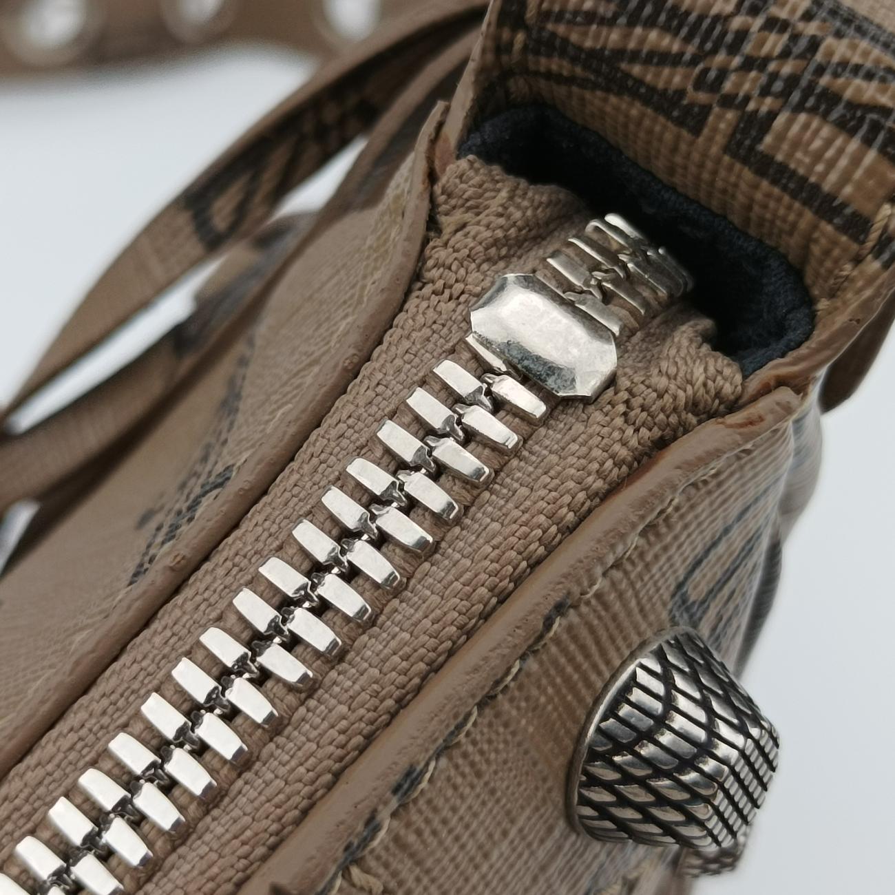 Le Cagole miniBrownPVC Coated Canvas671309.2762.O.628147ル カゴール ミニブラウンPVCコーティングキャンバス671309.2762.O.628147