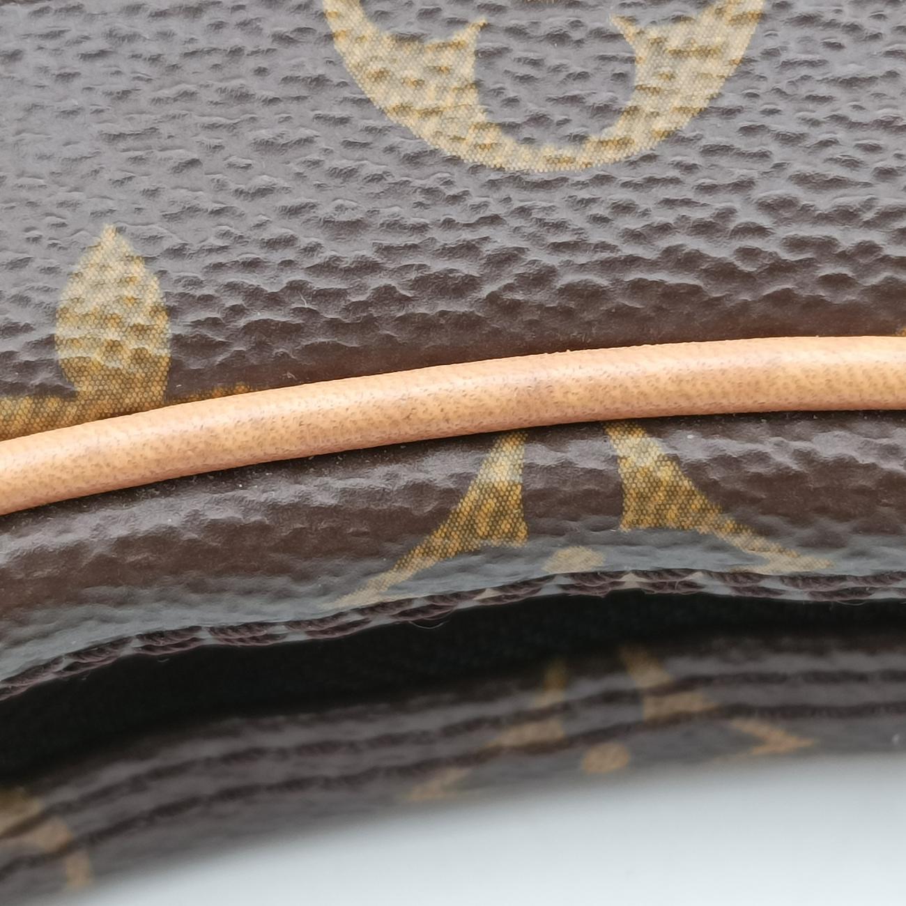 loopBrownPVC coated canvasM81098ICチップループモノグラム/ブラウン系×ブラウンPVCコーティングキャンバスM81098ICチップ