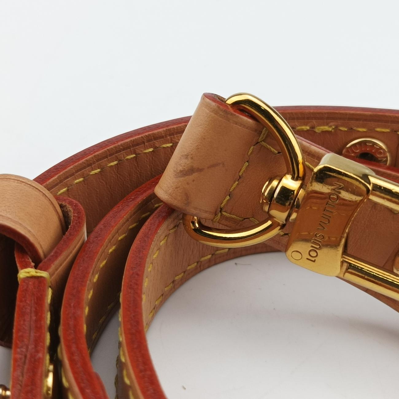 LOOPBrownPVC coated canvasM81098ICチップループモノグラム/ブラウン系PVCコーティングキャンバスM81098ICチップ
