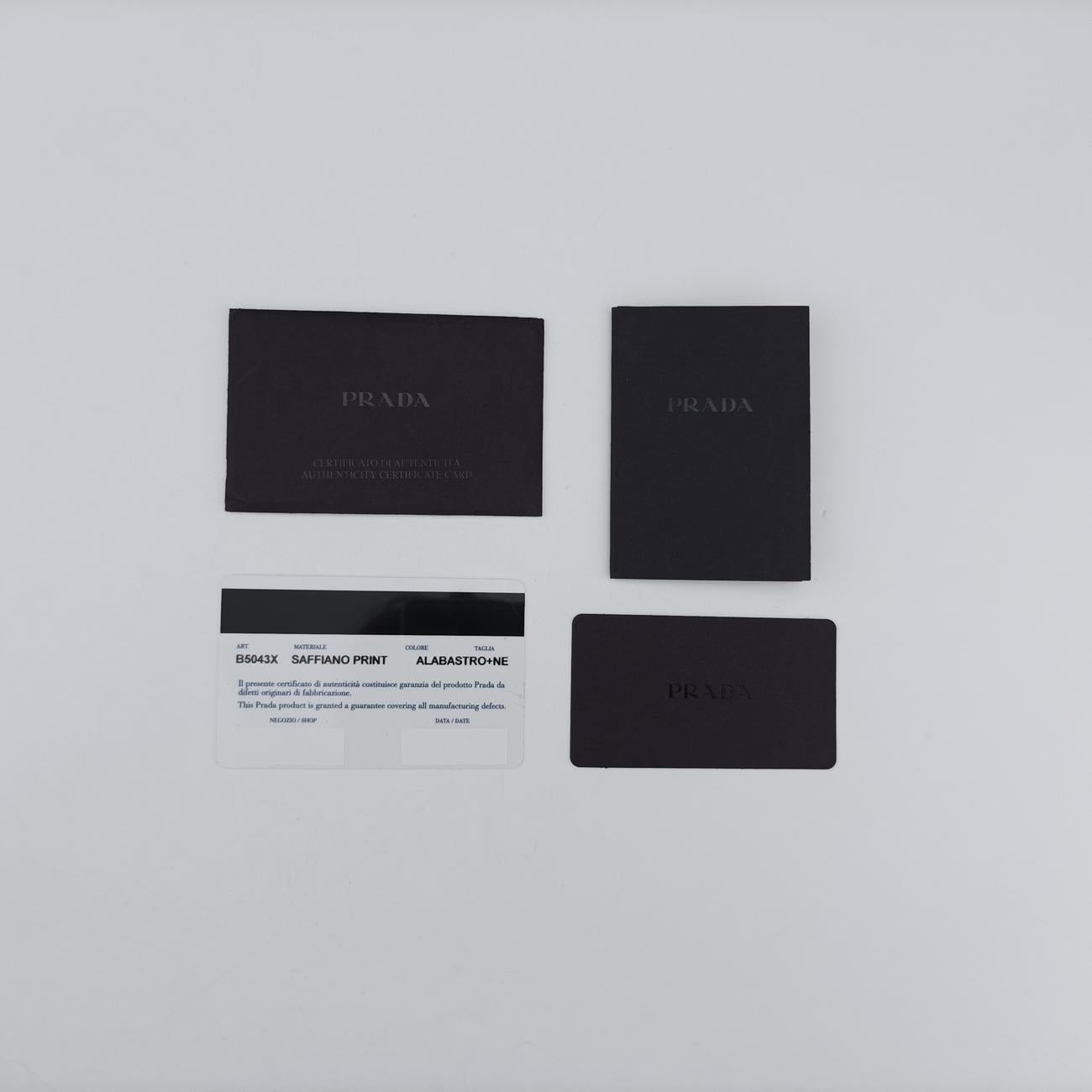 LIMITED EDITION WOMAN FACE ARTMulticolourSAFFIANO Leather239/H限定版 女性の顔 アートマルチカラーサフィアーノレザー239/H