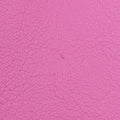 La MedusaPinkLeatherCLG 459 227 247 124ラ メドゥーサピンクレザーCLG 459 227 247 124
