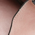 DionysusBrown×PinkPVC coated canvas400249B023188870ディオニュソスブラウン×ピンクPVCコーティングキャンバス400249B023188870