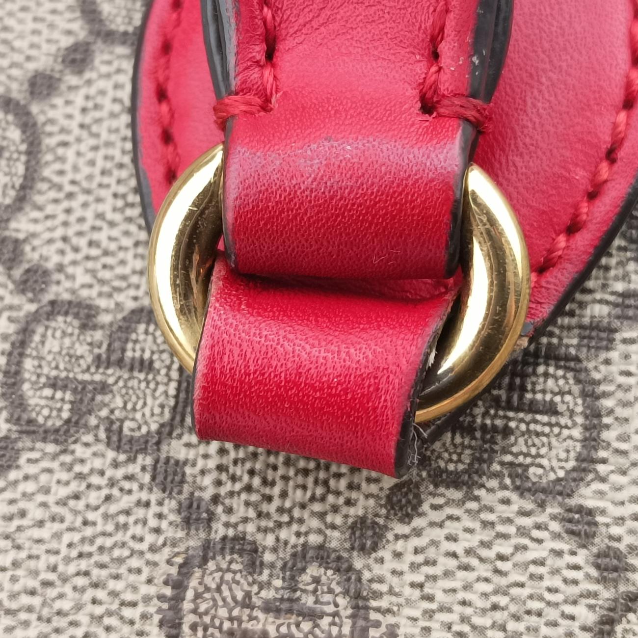 GG SUPREMEBeige x Pink x RedPVC coated canvas409534E019602342GGスプリームベージュ×ピンク×レッドPVCコーティングキャンバス409534E019602342