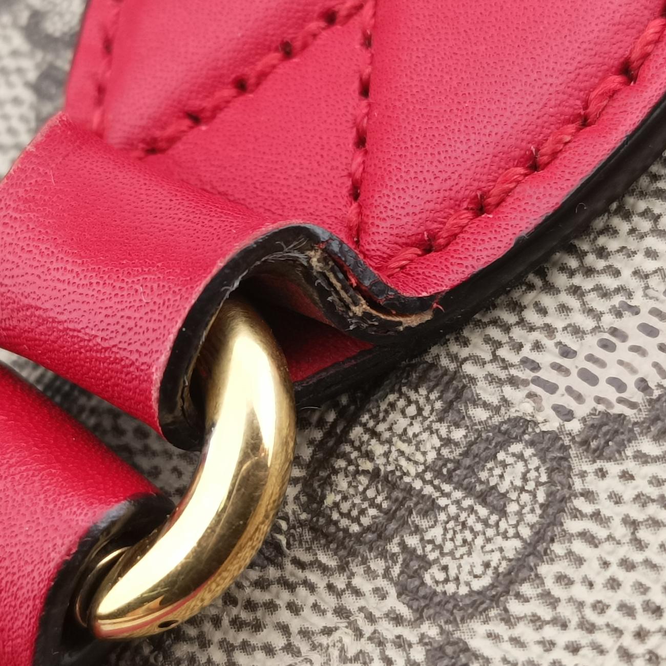 GG SUPREMEBeige x Pink x RedPVC coated canvas409534E019602342GGスプリームベージュ×ピンク×レッドPVCコーティングキャンバス409534E019602342