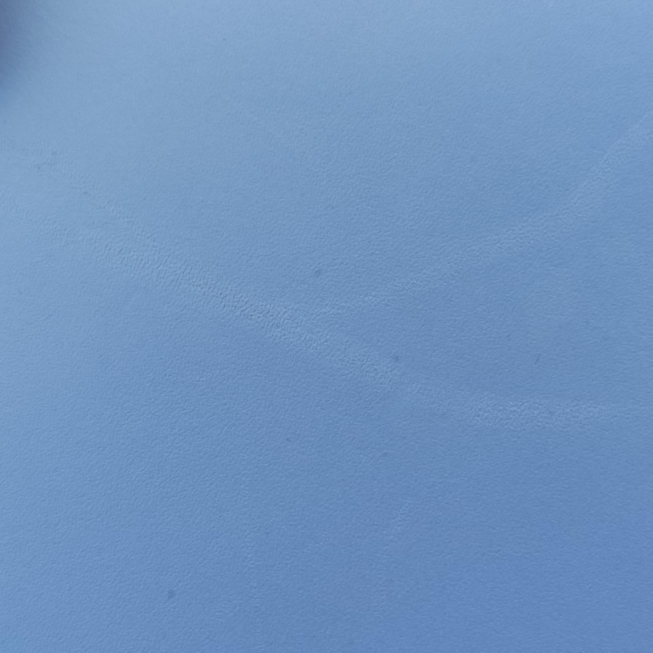 SylvieBlueLeather421882H021035717シルヴィブルーレザー421882H021035717