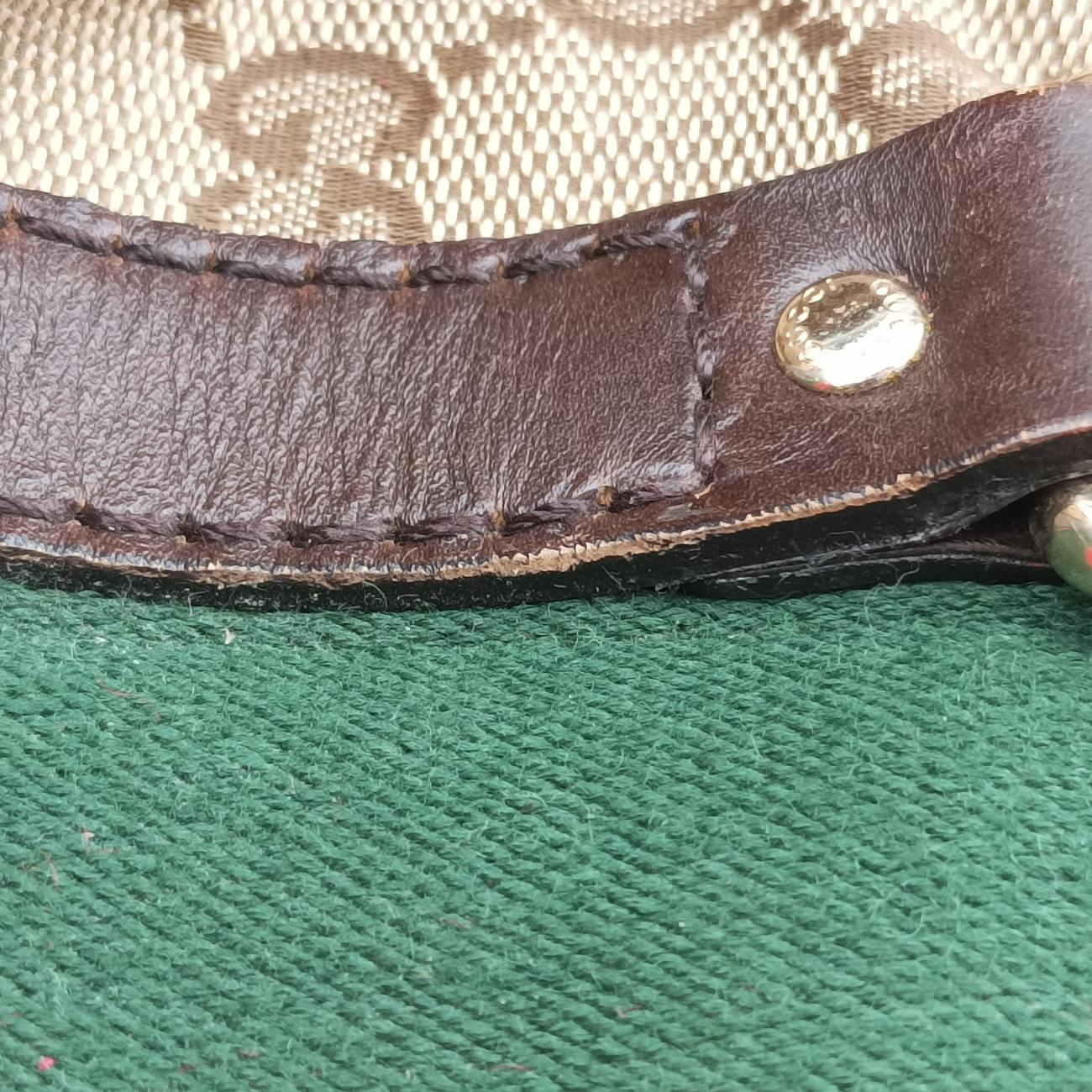 Sherry LineBrown x green x redcanvas x leather247205G7964153シェリーラインブラウン×グリーン×レッドキャンバス×レザー247205G7964153