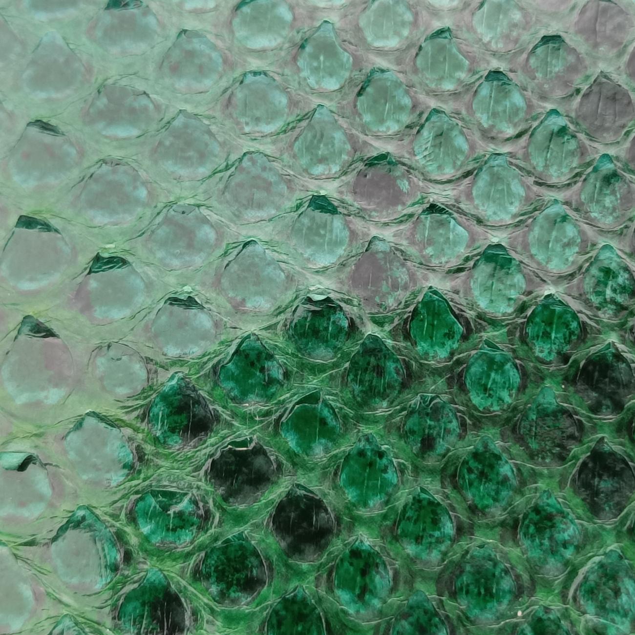 bee embellishmentGreensnakeskinビー エンベリッシュメントグリーンヘビ革