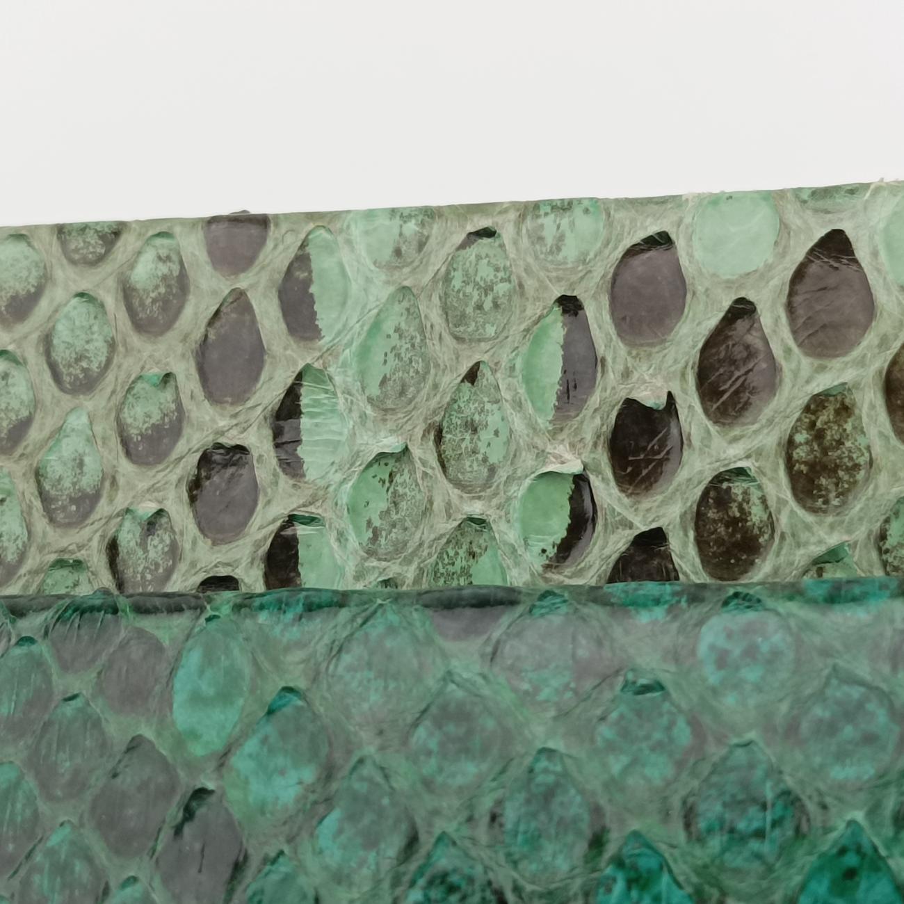 bee embellishmentGreensnakeskinビー エンベリッシュメントグリーンヘビ革