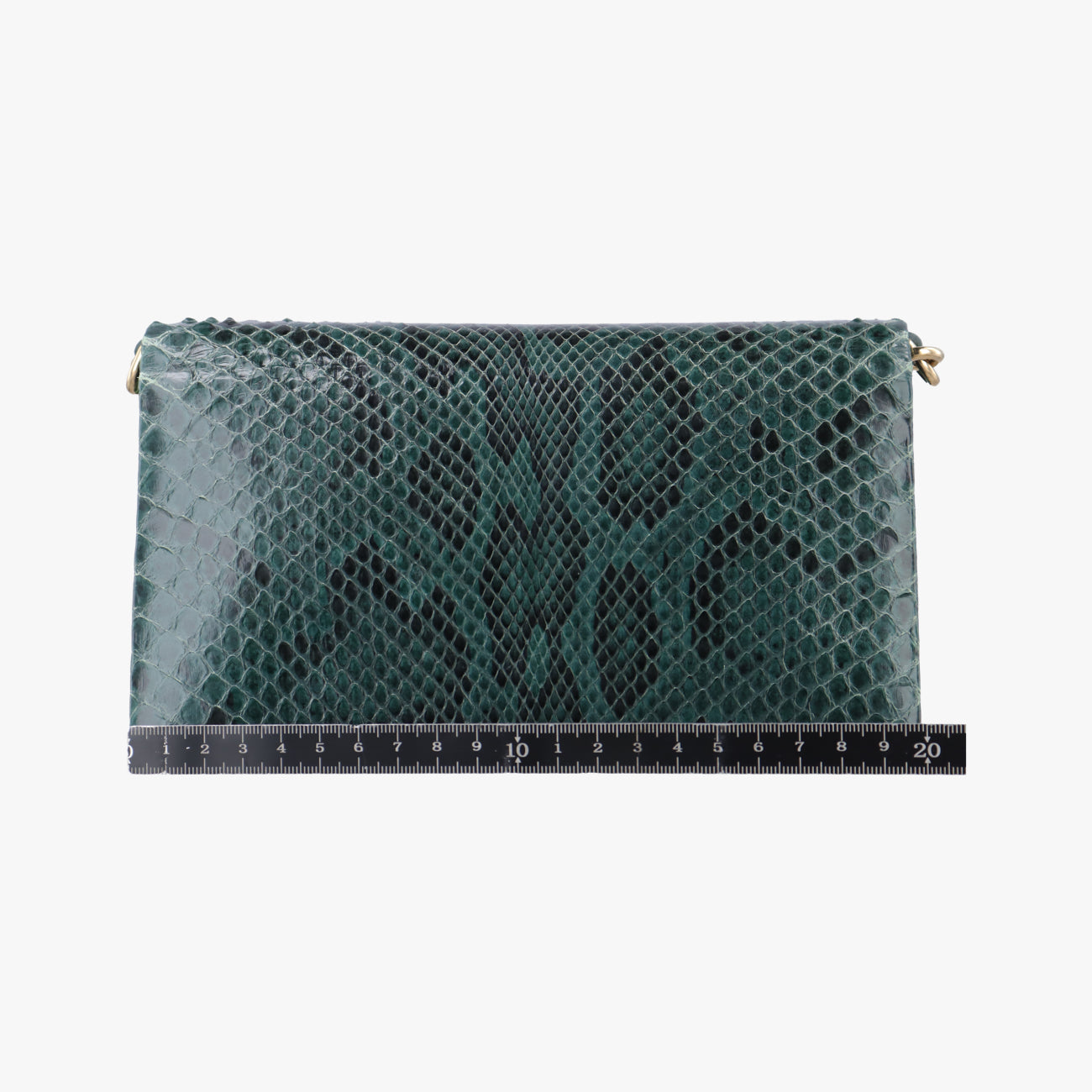 bee embellishmentGreensnakeskinビー エンベリッシュメントグリーンヘビ革