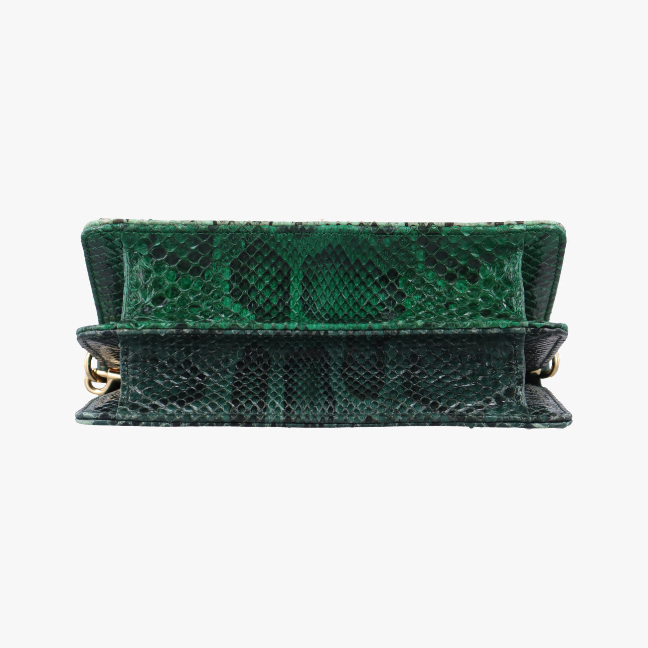 bee embellishmentGreensnakeskinビー エンベリッシュメントグリーンヘビ革