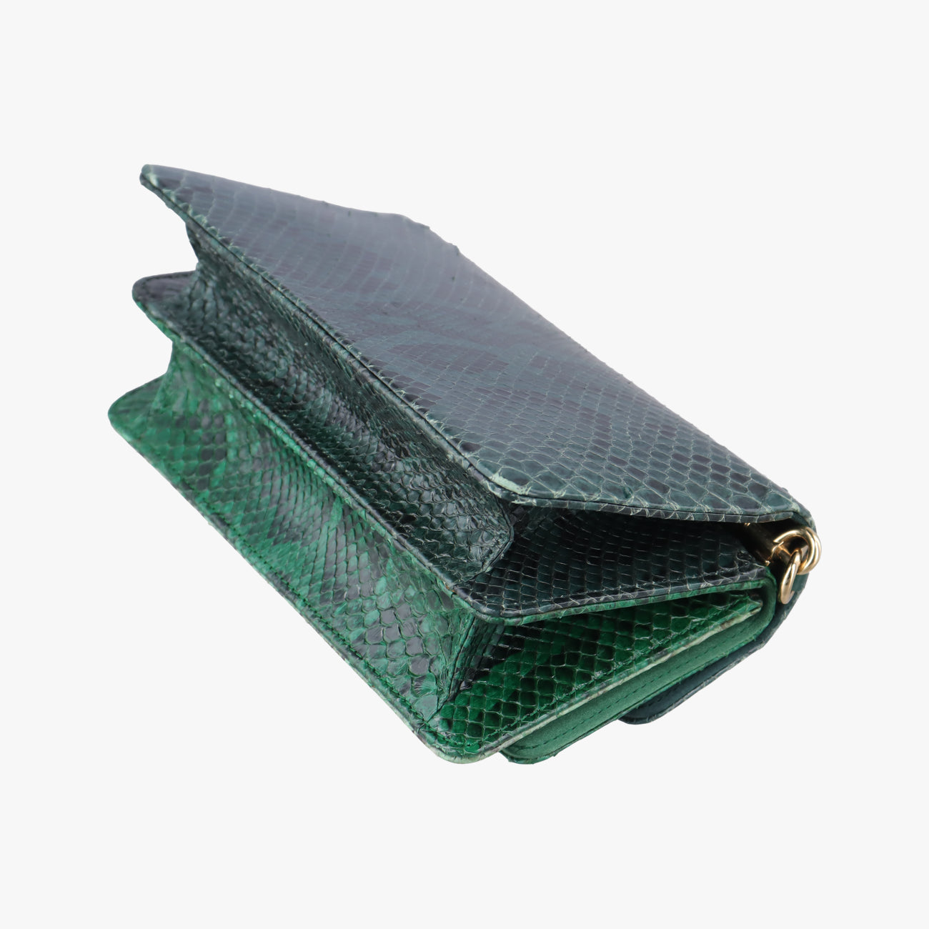 bee embellishmentGreensnakeskinビー エンベリッシュメントグリーンヘビ革