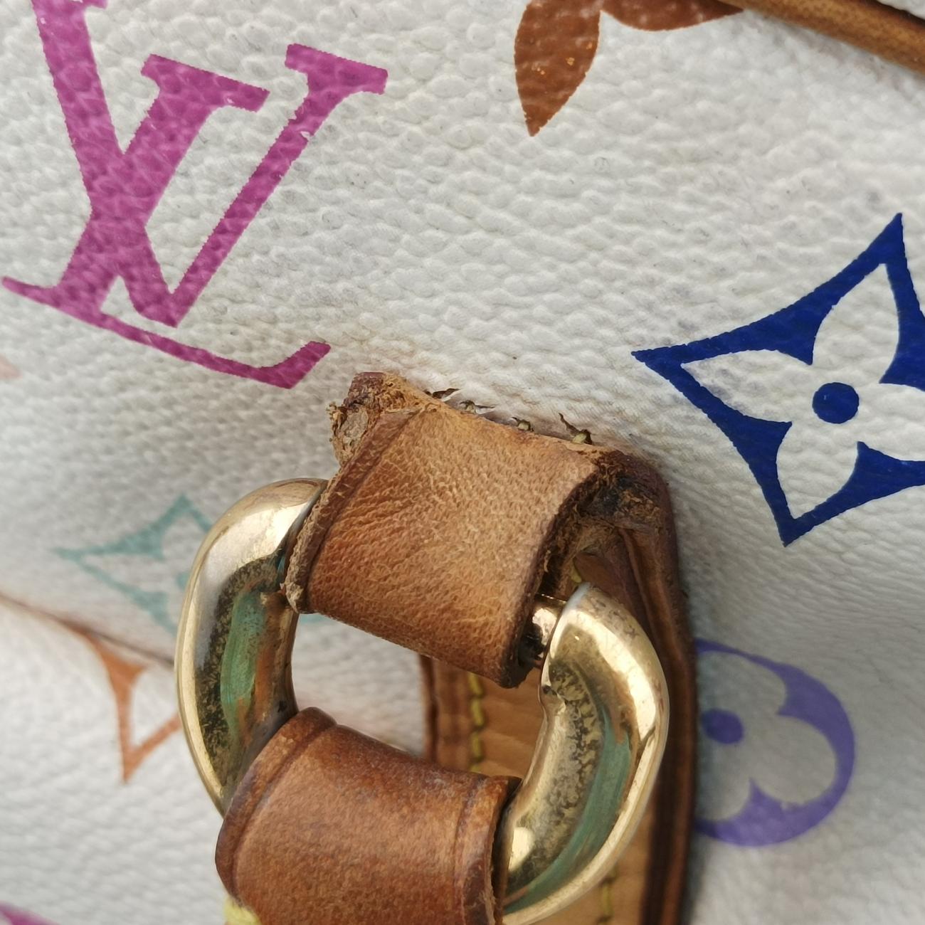 PRISCILLAwhiteMonogram MulticolorM40096SP1077プリシラブロンモノグラム マルチカラーM40096SP1077