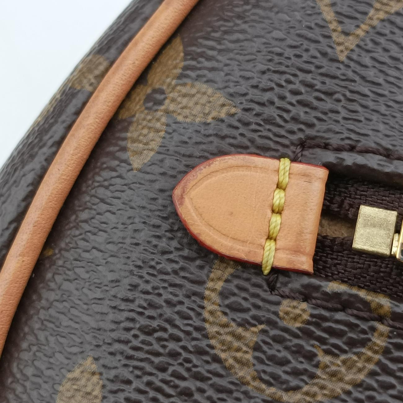 LOOPBrown×BeigeMonogram CanvasM81098ICチップループモノグラム/ブラウン系×ベージュモノグラムキャンバスM81098ICチップ