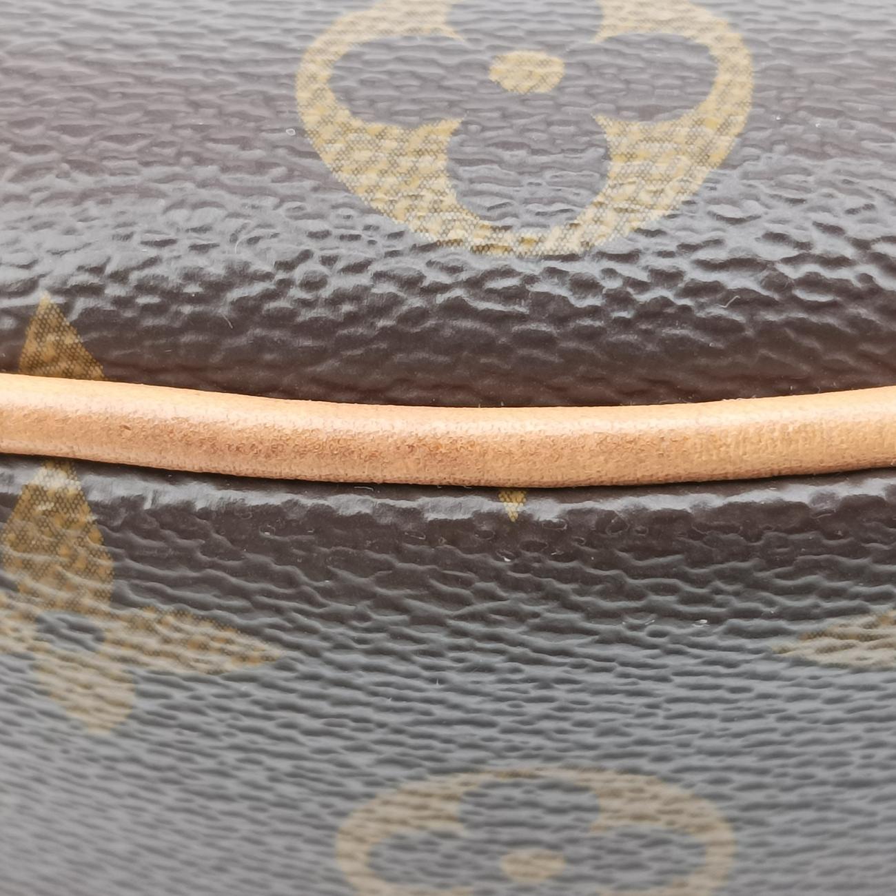 LOOPBrown×BeigeMonogram CanvasM81098ICチップループモノグラム/ブラウン系×ベージュモノグラムキャンバスM81098ICチップ